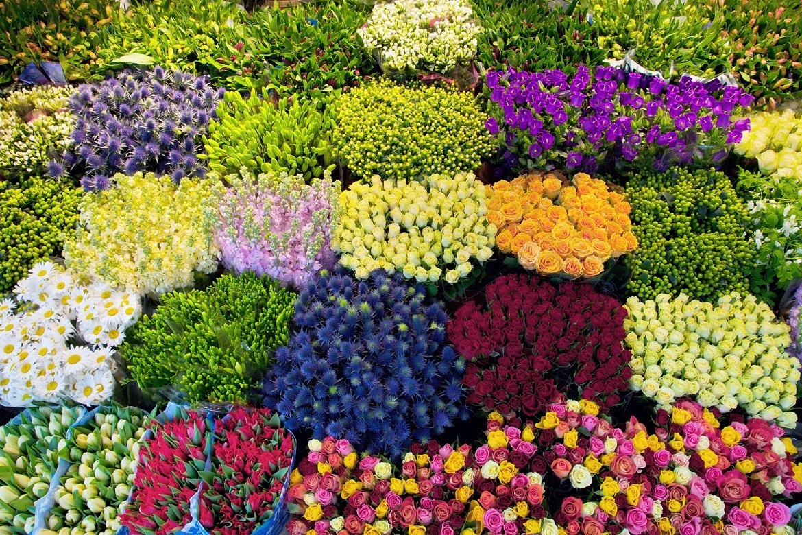 Gửi hoa tươi từ Đà Lạt về Thành phố Hồ Chí Minh trong ngày