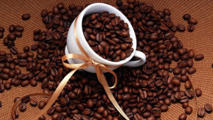 Vận chuyển cà phê sang Hà lan