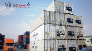 vận chuyển container lạnh