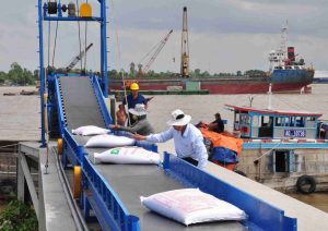 vận chuyển trái cây đông lạnh