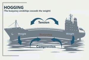 Draft Survey trong vận chuyển hàng rời: Phương pháp xác định trọng lượng chính xác trong vận tải biển