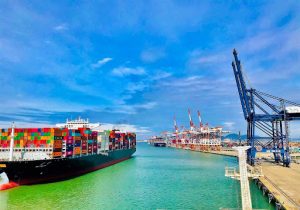 5 cách tối ưu chi phí vận tải biển doanh nghiệp nên áp dụng ngay