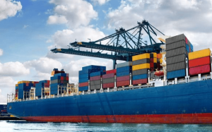 XUẤT KHẨU ĐI EU TIÊU CHUẨN VÀ LƯU Ý DOANH NGHIỆP CẦN BIẾT