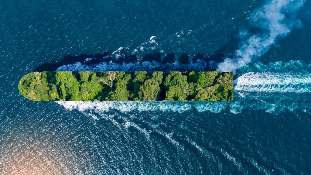 Đánh Giá Tiềm Năng Phát Triển Hàng Hải Xanh Và Kinh Tế Biển Xanh Tại Việt Nam