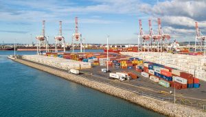 Vận tải đường biển từ Hồ Chí Minh đi cảng Tauranga, New Zealand